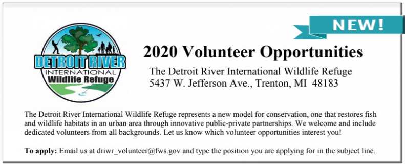 Volunteer positions available