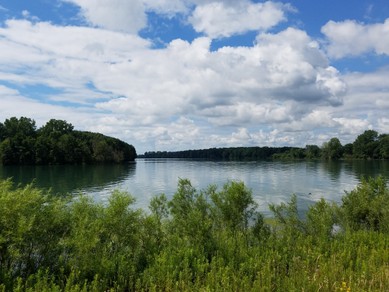 Detroit River water scene