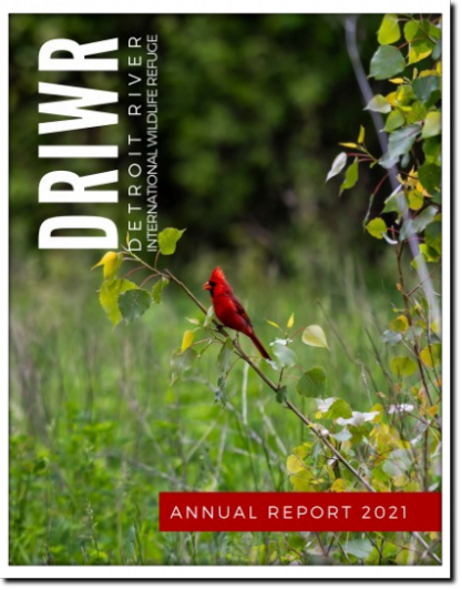 Detroit River International Wildlife Refuge 2021 Annual Report