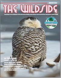 Cover image of the Winter 2022 issue of "The WILDSIDE"