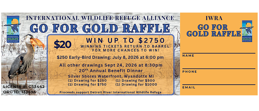 Image shows a box with details of the raffle drawing on the left two-thirds of the image against a background of a heron with a crab in its bill and the organization logo above it. The right third has the raffle title and three blank lines for purchaser information.