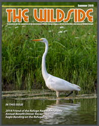 THE WILDSIDE Summer 2019 edition cover