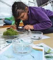 Investigating microplastics Investigating microplastics